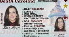 Licencia de conducir gratis para inmigrantes en Carolina del Sur: realiza este único paso y recibe tu Real ID en 2025