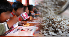 Análisis revela que la avena distribuida por Qali Warma a los escolares contenía moho
