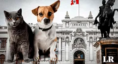 Congreso: plantean otorgar un día de licencia por muerte de mascotas