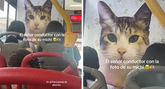 Conductor pegó gigantografía de su gatito en bus de Lima y causa furor en redes: “Va a Michigan”