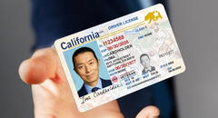 Licencia de conducir para inmigrantes en Chicago: 3 únicos requisitos para obtener la Real ID en 2025