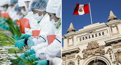 Congreso busca acelerar aprobación de Ley Chlimper 2.0 que beneficia a grandes agroexportadoras
