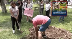 Fiscalía inicia diligencias preliminares por presunto envenenamiento de más de 20 perros en parque de Santa Anita