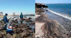 Emergencia ambiental en Talara: Gobierno dispone 90 días para mitigar daños por derrame de petróleo