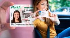 Atención, inmigrantes en Florida: estos son los pasos para tramitar el Real ID con una Green Card vencida en USA 2025