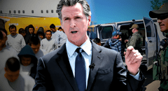 Mucha atención, inmigrante en California: el plan de Newsom para detener las deportaciones masivas de Trump en 2025