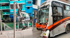 Bus de transporte público Nueva América choca contra postes en av. San Juan en SJM: accidente dejó un herido