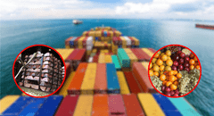 Exportaciones peruanas aumentaron 15,8% en 2024, según Adex: estos fueron los principales productos vendidos