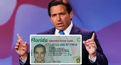 Florida y la Nueva Ley de Licencia Universal 2025: los 5 requisitos clave para aplicar a la MOBILE Act. en Estados Unidos