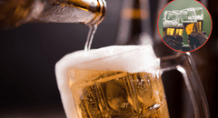Expertos advierten sobre los 3 alimentos que nunca debes combinar con cerveza debido a su impacto negativo en la salud