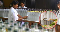 Esta región del Perú es la que más consume pisco a nivel nacional: bebida emblema a base de uva es la más representativa del país