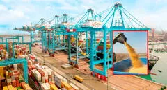 Este puerto peruano tendrá un moderno sistema para descargar granos: almacenaría más de 50.000 toneladas de trigo, maíz y otros