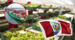 Esta región del Perú lidera la agroexportación de frutas como arándanos y paltas: suma US$2.271 millones y supera a Ica