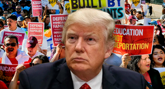 Muy malas noticias para Trump: las 3 ciudades con un plan para frenar las deportaciones y proteger inmigrantes en EE. UU.