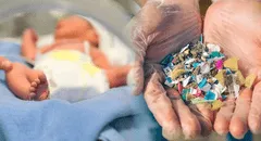 Científicos de EE. UU. alertan que microplásticos en la placenta podrían estar vinculados a partos prematuros