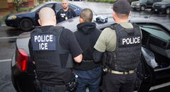 Redadas de ICE en Estados Unidos: detienen a inmigrante en Miami por no cumplir requisito clave en su licencia de conducir