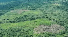 Líderes indígenas exigen al Mincul creación de la Reserva Yavarí Mirim