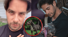 Andrés Wiese sufre por su perrita Menta tras recibir diagnóstico de cáncer: "Estoy hecho un mar de lágrimas"
