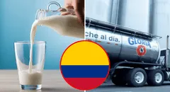 Grupo Gloria es penalizado en Colombia por US$2,2 millones: usaron insumo prohibido en la fabricación de leche
