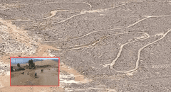 Huaicos y lluvias en Ica dañan las Líneas de Nazca: tres geoglifos afectados por lodo y piedras