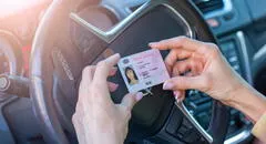 Florida: recaudador de impuestos de Miami-Dade planea visitar oficinas de licencias de conducir para evaluar operaciones