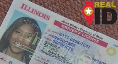 Real ID 2025: la medida de Illinois para que todos en el estado puedan solicitar el documento
