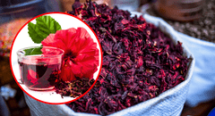 ¿Para qué sirve la flor de Jamaica? Descubre sus sorprendentes beneficios y cómo consumirla correctamente