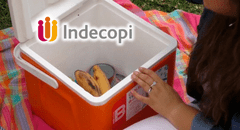 Indecopi alerta que más de 1.000 coolers de esta marca podrían amputar los dedos por asa defectuosa para quien lo manipule en Perú