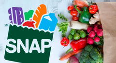 Pagos SNAP en Texas: consulta quiénes reciben los beneficios del programa en la última semana de febrero de 2025 y cómo verificar tu fecha