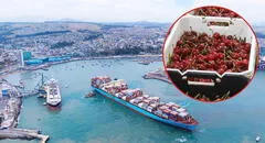 China frena importación de cerezas chilenas: 1.300 contenedores en riesgo de ser rechazados por "malas condiciones"