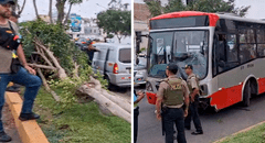 Accidente en la avenida Venezuela: bus del Corredor Rojo se despista y choca contra un árbol
