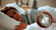 ¿Tienes dificultades para dormir?: esta es la bebida natural para conciliar el sueño y que todos tenemos en casa