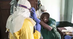 Desconocida enfermedad en el Congo mata a más de 50 personas: fue descubierta en niños que comieron murciélagos