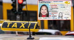 Licencias especiales en EE. UU.: ¿qué permiso necesitan los taxistas, motociclistas y conductores junior en el país?