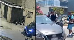 Roban auto y lo esconden en facultad de San Marcos: PNP investiga cómo ingresó a campus