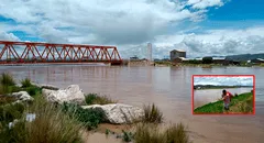 Comuneros adelantan cosecha de papa tras desborde del río Coata en Puno
