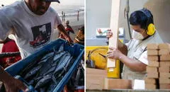 Economía peruana creció 4,07% en enero, según INEI: ¿qué sectores impulsaron el resultado?