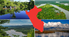 Así son las 4 áreas naturales protegidas de Perú más biodiversas del mundo: ¿cuáles son?
