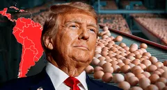 Latinoamérica tiene el país que exporta más huevos a EE. UU. en medio de escasez: más de 2.000 toneladas en 2025