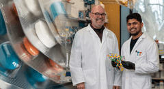 Descubren un nuevo antibiótico capaz de vencer bacterias resistentes sin efectos tóxicos