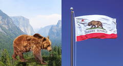 ¿Por qué hay un oso en la bandera de California? Descubre la historia tras sus símbolos cuando pertenecía a México y no a EEUU