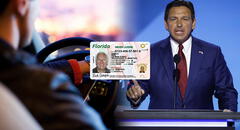 Licencia de conducir en Florida: ley promulgada por Ron DeSantis sanciona a conductores que no cumplan con simple requisito
