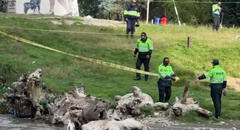5 muertos por ola de crímenes en Perú: 4 acribillados y una persona carbonizada