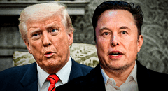 “Un perfecto idiota”: Elon Musk ataca a Peter Navarro, el principal ideólogo de aranceles en el gobierno de Trump