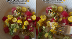 Peruana pidió ceviche en restaurante de Holanda y lo que le traen la deja en shock: "Tiene sandía y maracuyá"