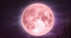 Impresionante Luna Rosa 2025: a qué hora, dónde, cómo ver y todos los detalles del fenómeno astronómico en Colombia