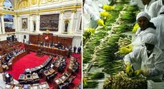 Congreso alista más beneficios tributarios: debatirán Ley Chlimper 2.0 y zonas económicas con 0% de impuesto