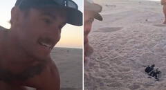 Joven evita que gaviotas ataquen a tortugas recién nacidas y genera debate en redes: "No hay que interferir"