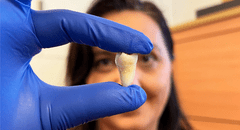 Adiós a los implantes: científicos lograron que los dientes de las personas adultas vuelvan a crecer con un nuevo tratamiento