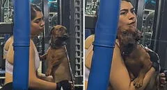 Joven llevó a su perrito al gimnasio y sorprende a usuarios con insólita razón: “Vio a su expapá”